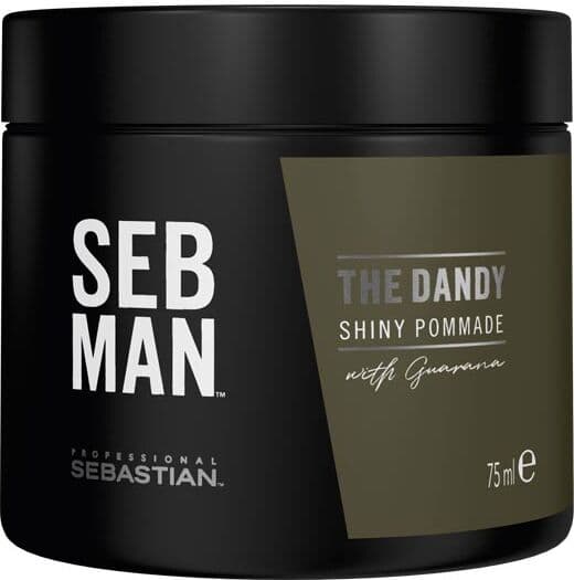 75ml Sebastian SEB MAN The Dandy Shiny Pomade