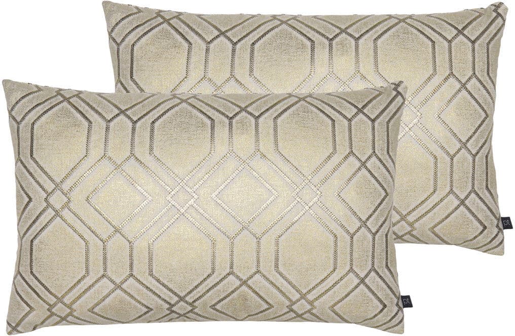 Riva Home Geometric Rectangular Cushion Coin/Feather