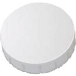 Maul Magnet MAULsolid (Ø x H) 24 mm x 8 mm rund Weiß 10 St. 6162402