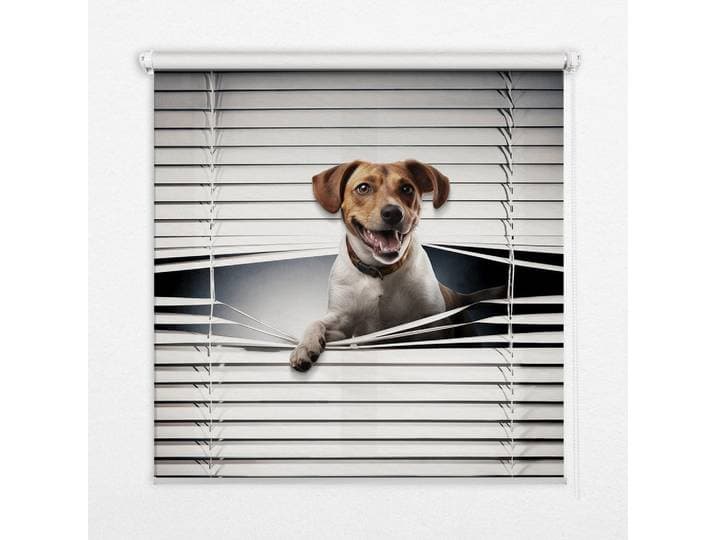 Tulup Innenrollo - Fensterrollo - Rollo - 80x180 cm - Hund, Grau, Kunststoff, Rechteckig, 80x180x0.5 cm, Heimtextilien, Vorhänge, Rollos