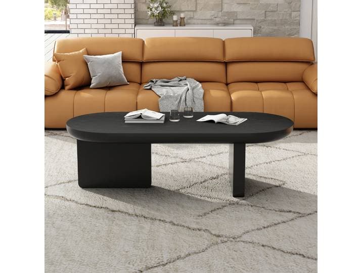 Ye N625P300081S) Table basse moderne minimaliste noire 119,7*49,8*35,5 cm, table de salon avec peinture pulvérisée, table d'appoint ovale pour canapé, table de loisirs en MDF