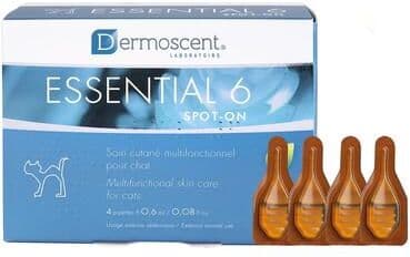 Essential 6 For Cats 4 Months