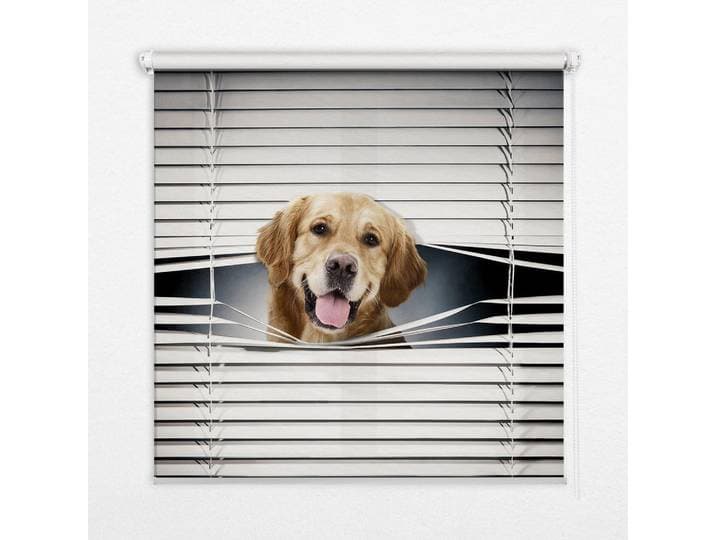 Tulup Innenrollo - Fensterrollo - Rollo - 100x140 cm - Goldener Hund, Grau, Kunststoff, Rechteckig, 100x140x0.5 cm, Heimtextilien, Vorhänge, Rollos