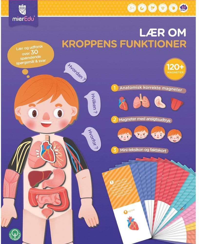 mierEdu - Magnetic Learning Box - All About Body and Emotion (Danish) - (ME097D)