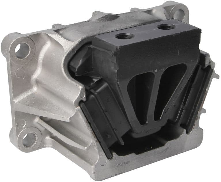 S-Tr Cuscino motore 1205224