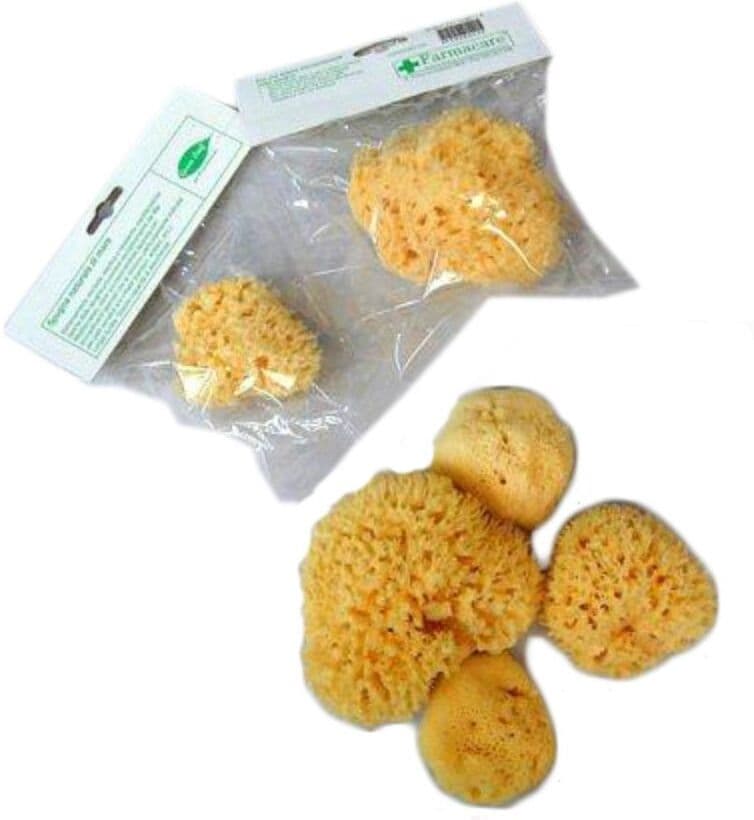 Farmacare srl SPUGNA NAT FORI L 10/11CM 7