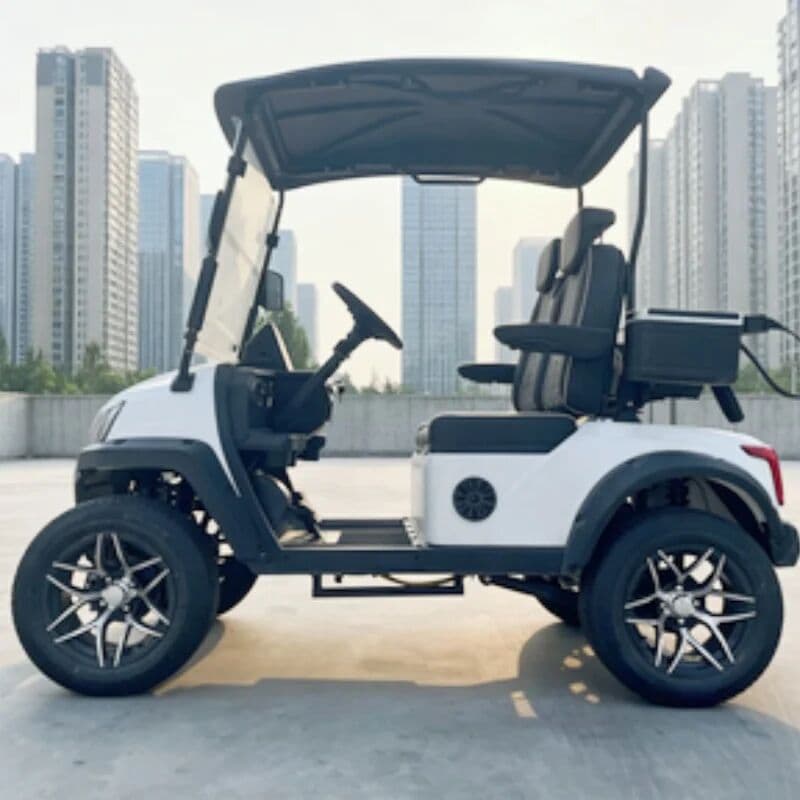NONE 2026 Classic 2 Seater Electric Golf Cart Open Type Beach Vehicle Seats With Armrests Gear Adjustment 14-Inch Road Tires Sand Box