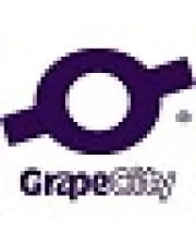 GrapeCity ComponentOne Studio 2026 v1 Data Services 1 Developer 1Y EN WIN Lizenz (C1DSSPLAT)