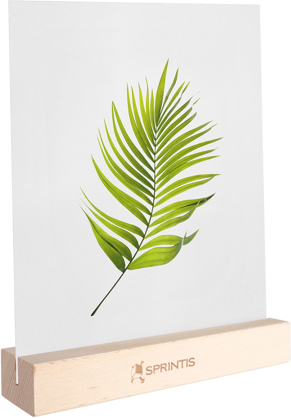SPRINTIS Porte-cartes MODUL avec gravure simple face, sur le côté long   210 mm   bois de hêtre