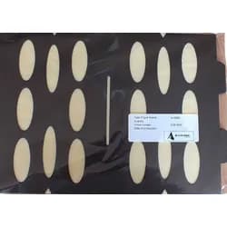 Ersatzfolien zu Insective Alcochem Armadilha 15