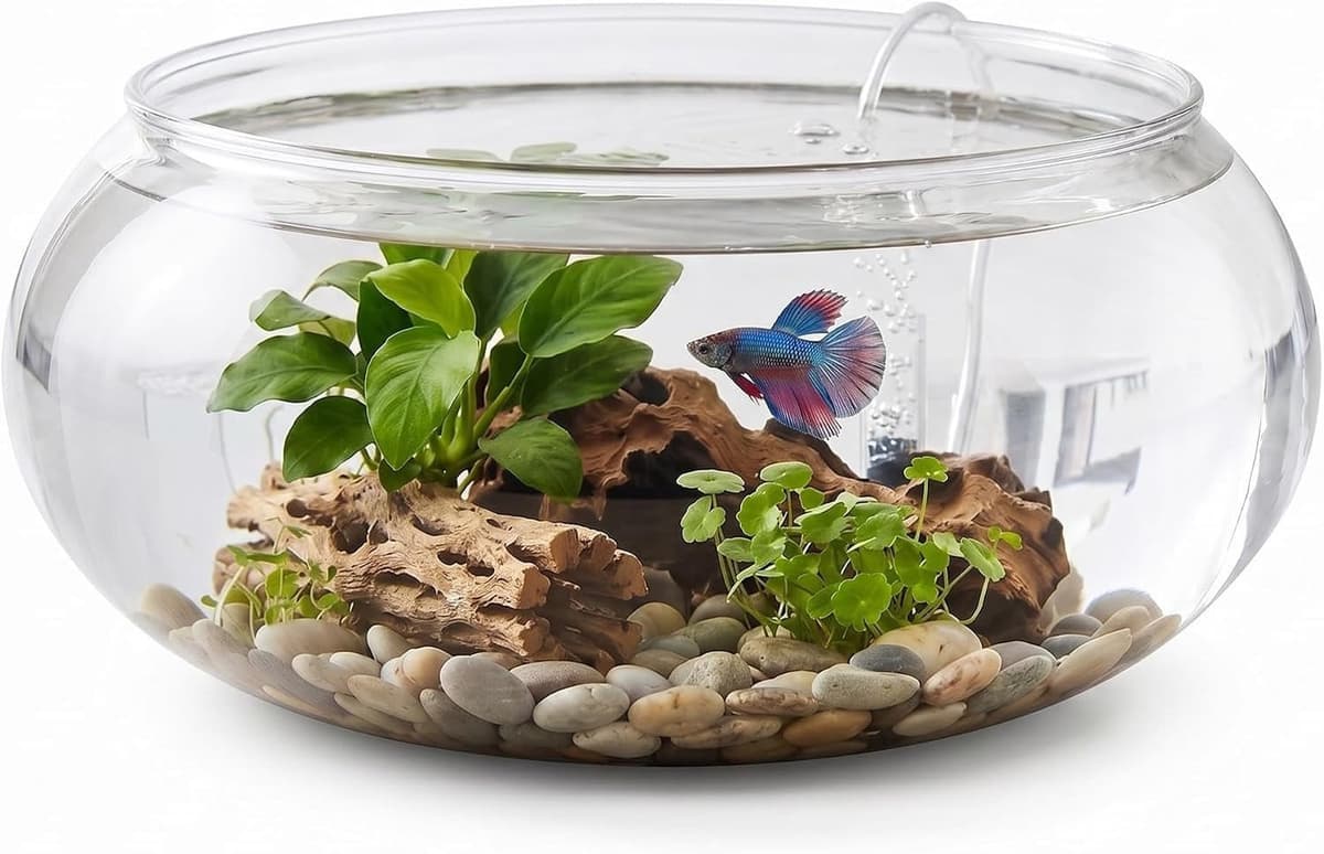 Ronde Glazen Bloemenvaas met Wijde Opening voor Terrarium en Succulenten - Decoratieve Pot voor Hydroponics en Bloemen op Tafel