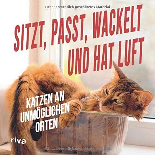 Sitzt, passt, wackelt und hat Luft: Katzen an unmöglichen Orten - Preis vom 30.09.2026 09:01:18 h