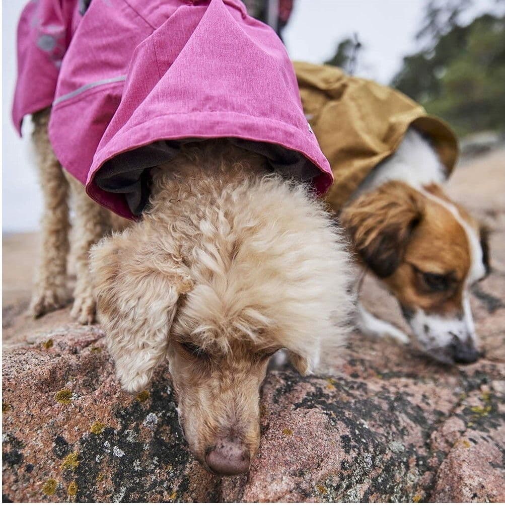 Hurtta Monsoon Ii Eco Regnjacka Rosa 70