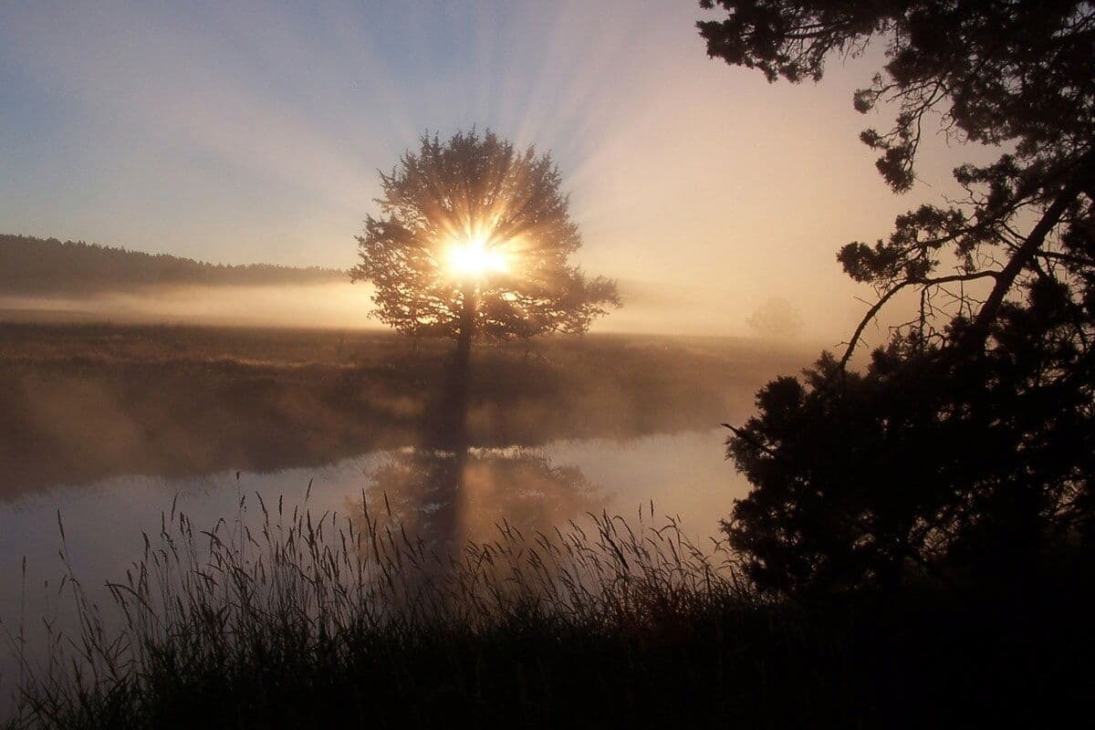 Fototapete PAPERMOON "Fluss Sonnenaufgang", bunt, B:5m L:2,8m, Vlies, Tapeten, Fototapete bunt B/L: 5m x 2,8m, Bahnen: 10 Stk.