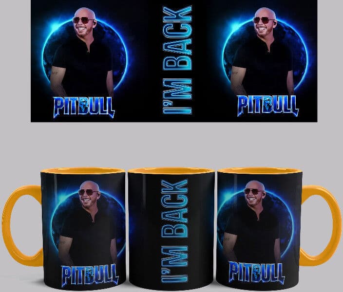 Pitbull - I'm back bögre (Narancssárga)