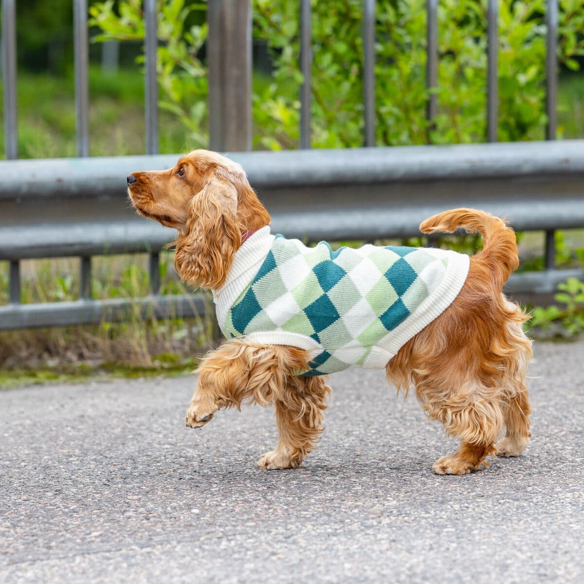 Little&Bigger Check Hundegenser Grønn