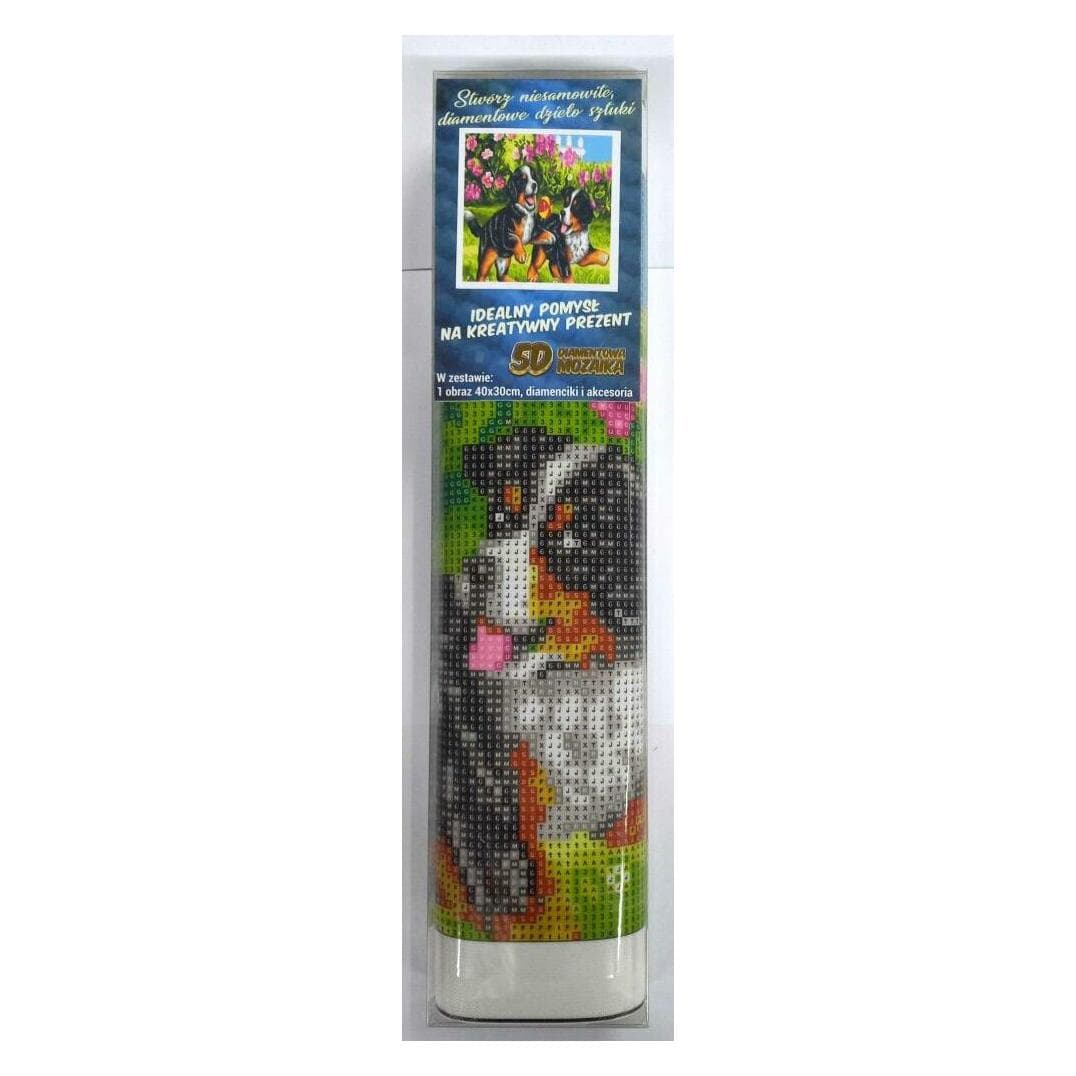Norimpex Diamant Malerei Verspielte Welpen 30x40cm (1006963)