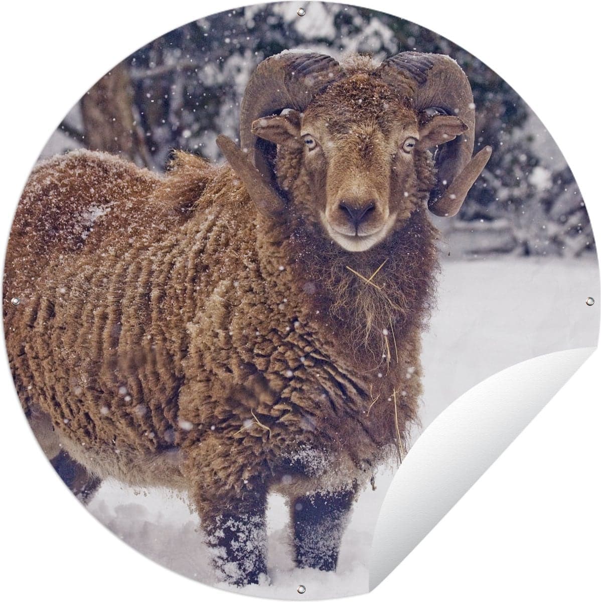 Ronde Tuinposter Ram Bruin Sneeuw 150 x 150 cm