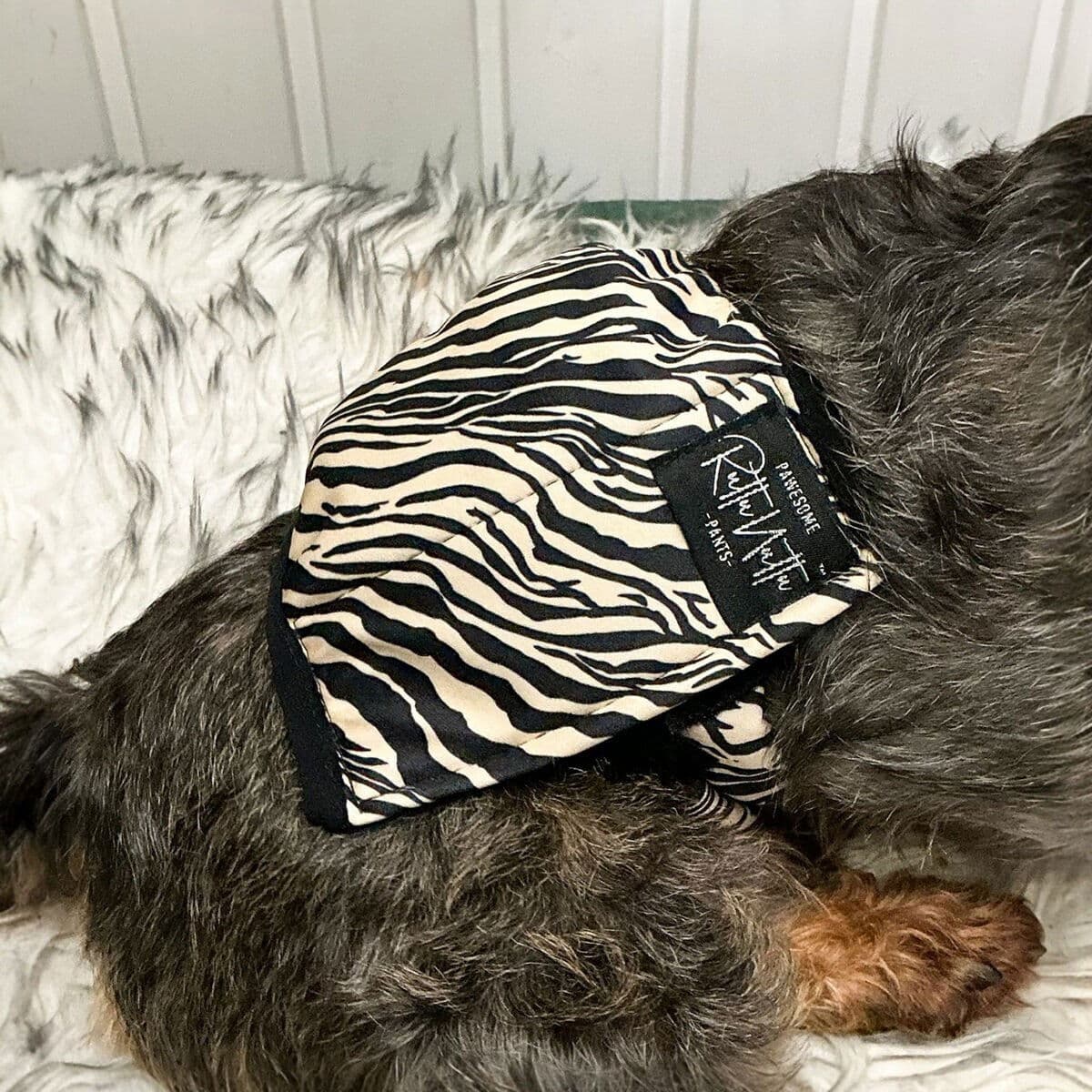 RuttuNuttu Zebra Skvettebeskyttelse Til Hannhund Svart/vit