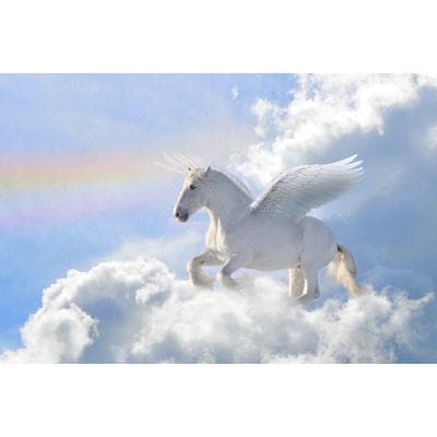 Fototapete PAPERMOON "Pegasus in the Clouds", bunt, B:2m L:1,49m, Vlies, Tapeten