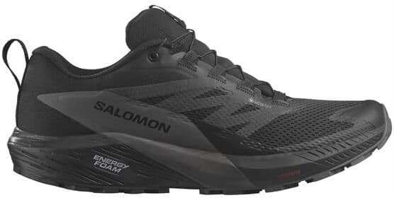 Salomon Sense Ride 5 GTX Mens, Black / Magnet