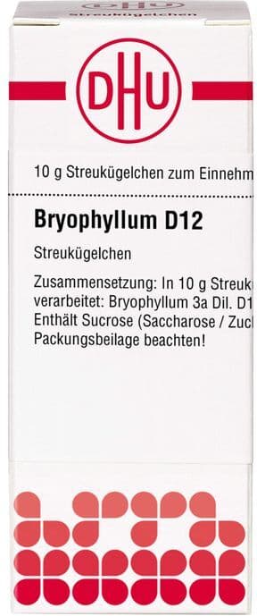 DHU-Arzneimittel GmbH & Co. KG BRYOPHYLLUM D 12 Globuli 10 g