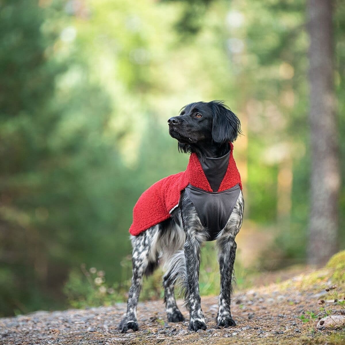 Pomppa Polar Fleecetäcke Hund Rowanberry 60