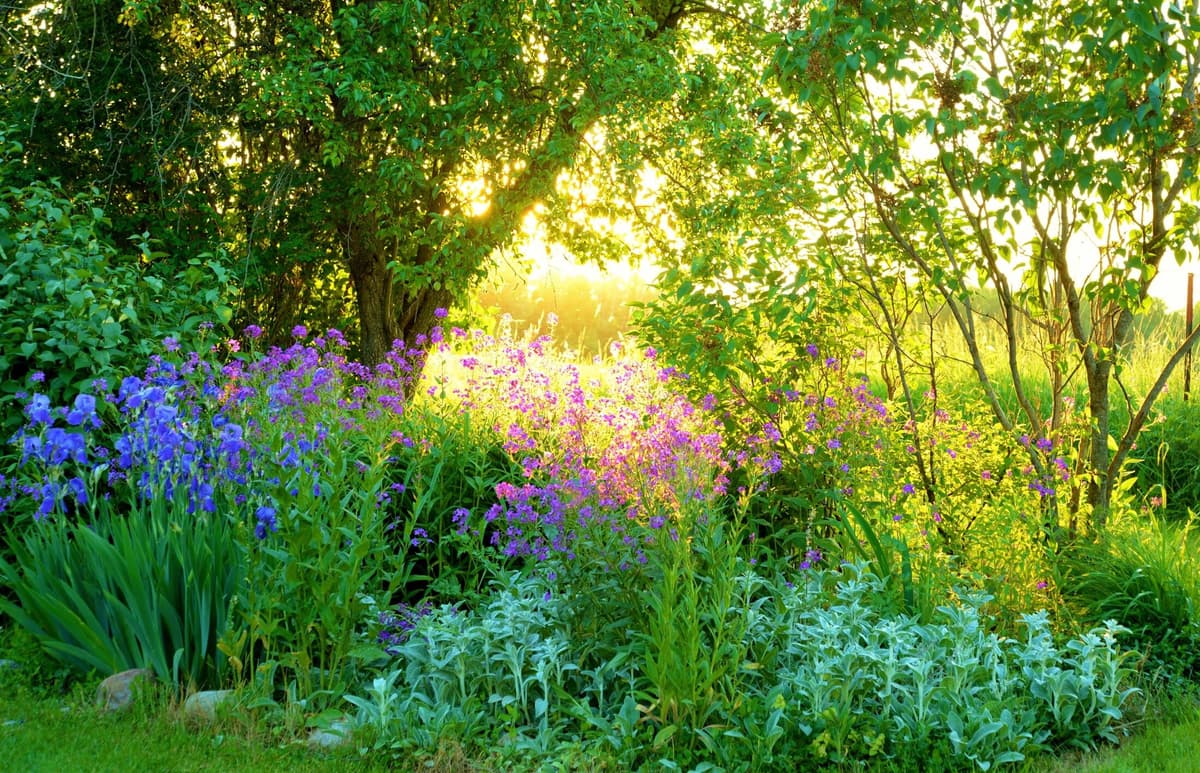 Fototapete PAPERMOON "GARTEN-BLUMEN BÄUME PFLANZEN PARK STEINE BLÜTEN WALD", bunt, B:5m L:2,8m, Vlies, Tapeten, Fototapete bunt B/L: 5m x 2,8m, Bahnen: 10 Stk.