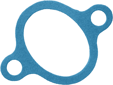 DR.MOTOR AUTOMOTIVE DRM0645 Thermostat housing gasket