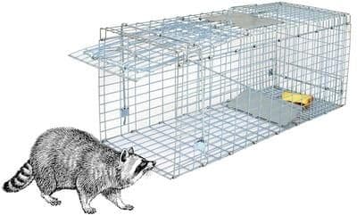 Multicon Wholesale Hub Humane Cat Trap, Heavy Duty Live Animal Cage Trap, Folding Raccoon Traps, Safe For Squirrels, Rabbits, Possums, And More Humane Cat Trap, Heavy Duty Live Animal Cage Trap, Folding Raccoon Traps, Safe For Squirrels, Rabbits, Possums,
