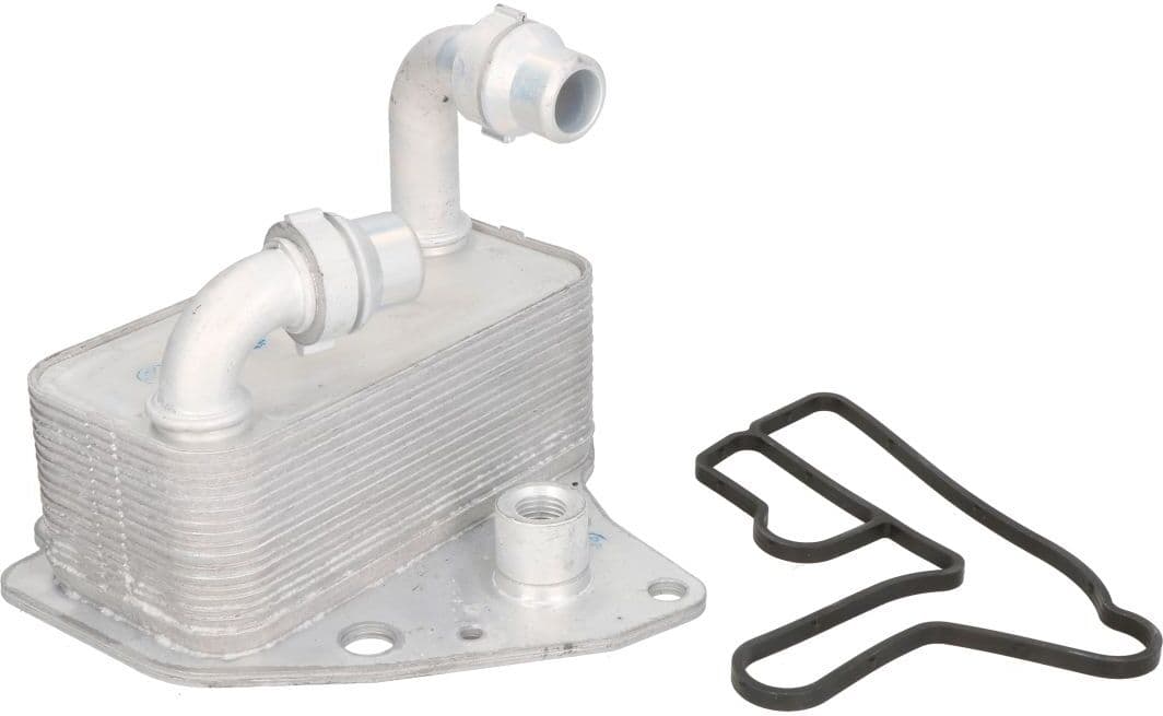 Thermotec Radiatore olio, olio motore D4X013TT
