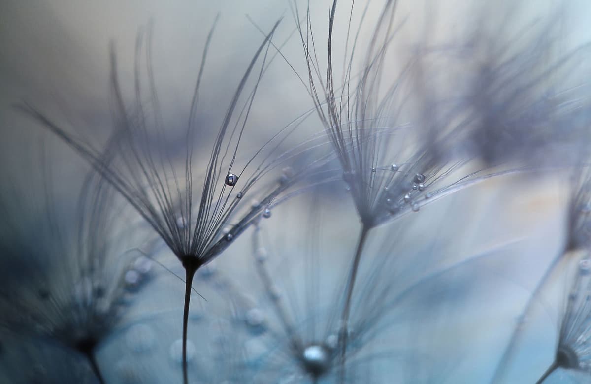 Fototapete PAPERMOON "Photo-Art MATHIEU IRTHUM, TEARDROPS", bunt, B:4,5m L:2,8m, Vlies, Tapeten, Fototapete