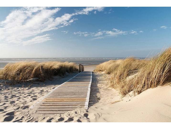 Fotobehang On the Baltic Sea DD119019 A.S. Création Designwalls Groen Vlies 384 X 260 cm (8 delen) 3D Fotobehang op maat
