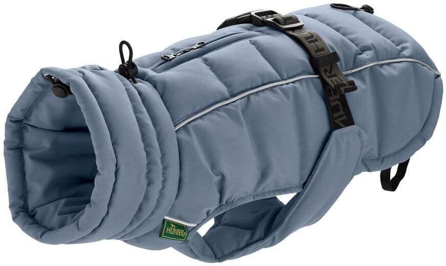Hunter - Dogcoat Paxson Dachshund 33, blue - (203512)