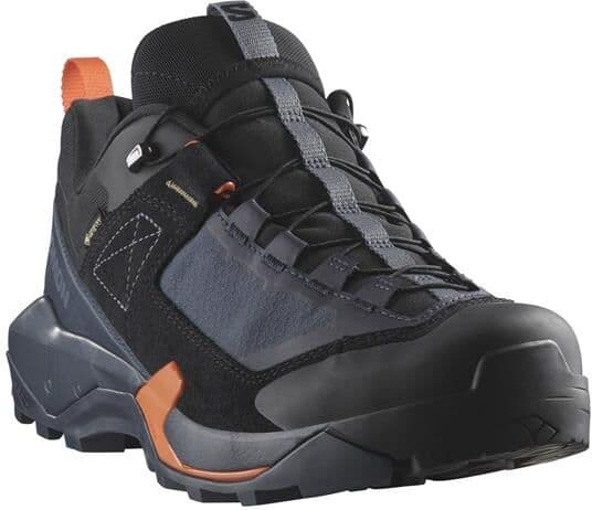 Salomon X Ultra Alpine GTX Mens, Blue Nights / Black 46,5
