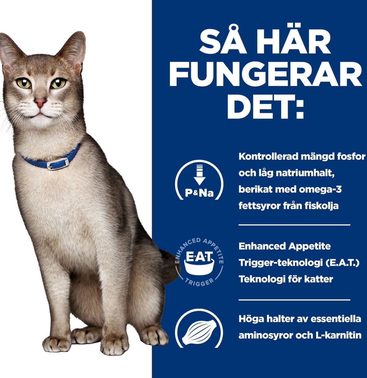 Hill'S Prescription Diet Feline K/d Kidney Care Chicken 12x85 G