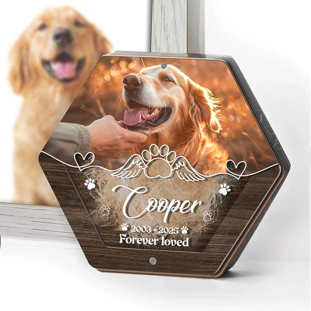 NONE Personalized Name Wooden Carving Pet Hair Storage Box Pet Supplies Custom Dog Save Teeth Memorial Boxes Pet Lost Memorial Gifts