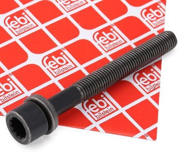 FEBI BILSTEIN 06666 Surub chiulasa
