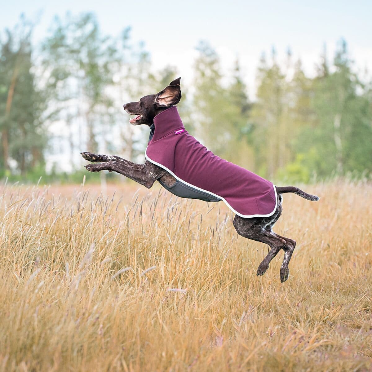 Pomppa Sportti Hundedekken Maroon