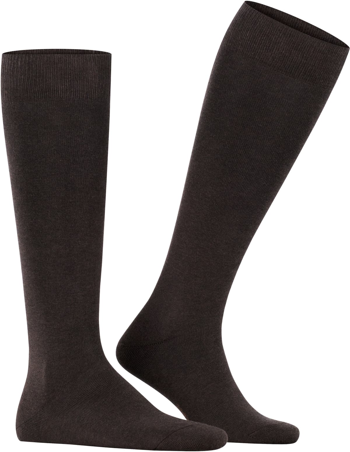 Kniestrümpfe FALKE "Family", Herren, Gr. 39-42, braun (schwarz braun), Baumwollmischung, unifarben, normal, Socken Kniestrümpfe, atmungsaktiv, weich, Rippenbündchen schwarz braun 39-42