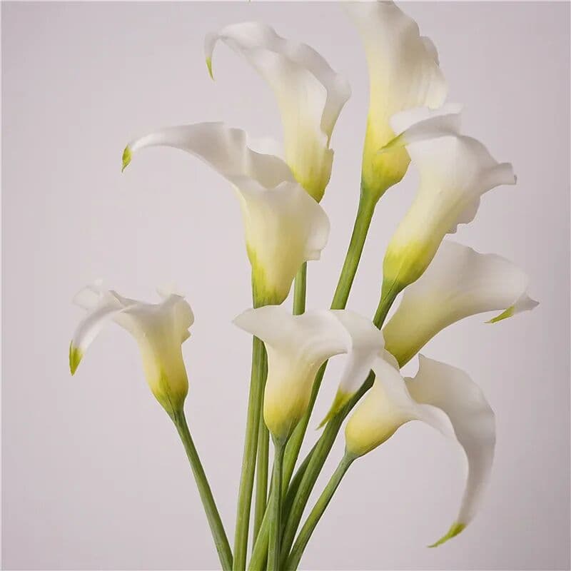 Anlincong 5Pcs Artificial Latex Calla Lily Flower Real Touch Flowers Wedding Decor Bouquet Party Table Floral Arrangement Home Decorations