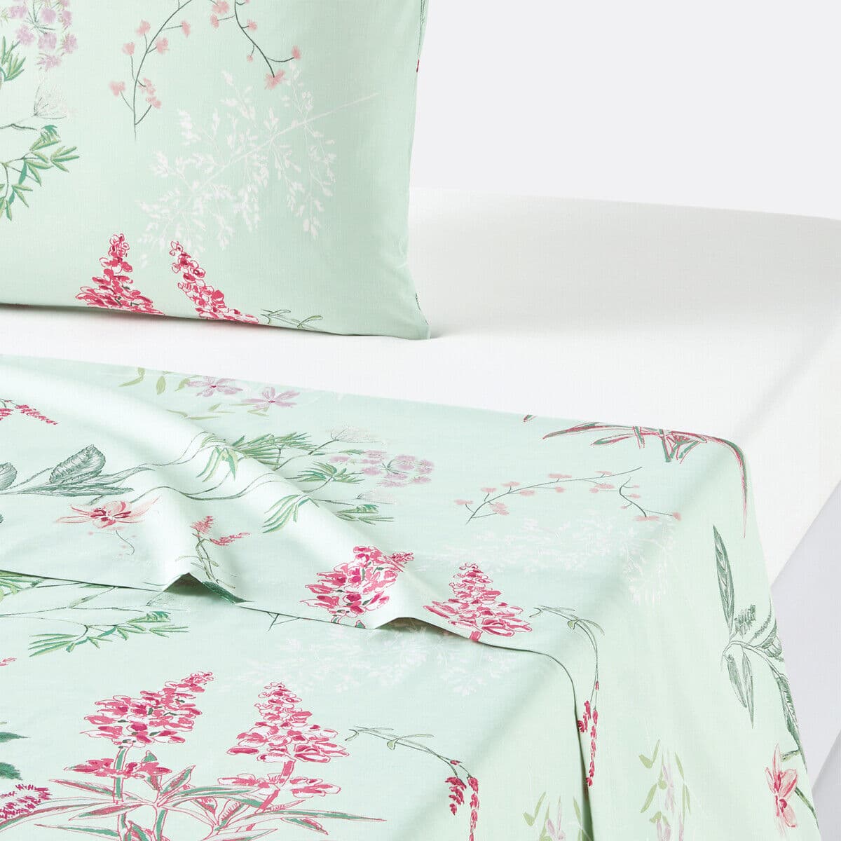 LA REDOUTE INTERIEURS Drap plat percale de coton, Isoline