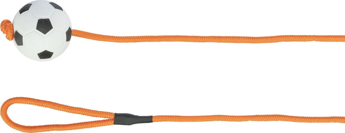 TRIXIE Fußball am Seil, schwimmt, Moosgummi, Ø 6 cm / 1,00 m