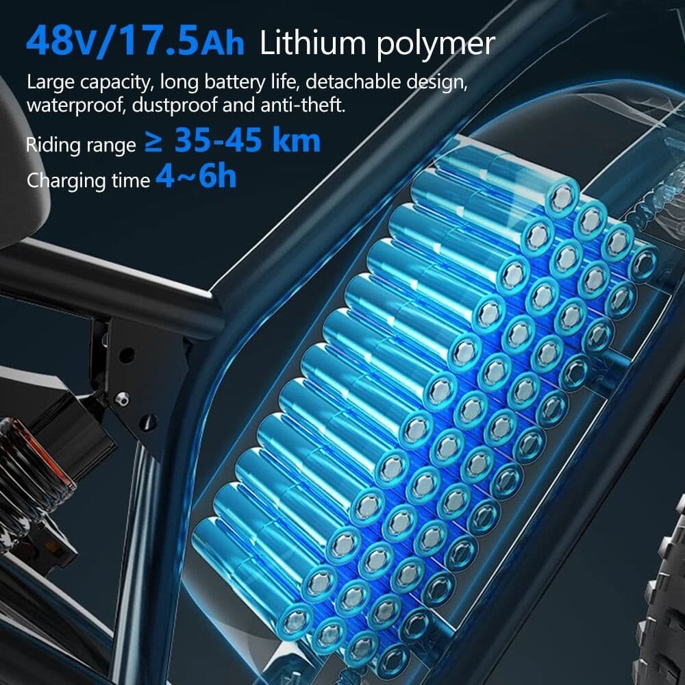 IENYRID Hidoes B6 Adult  E-bike 1200W Powerful Motor 48V 15.6Ah Lithium Battery E-Mountain Bike 20*4 in Fat Tire Snow Electric Bicycle