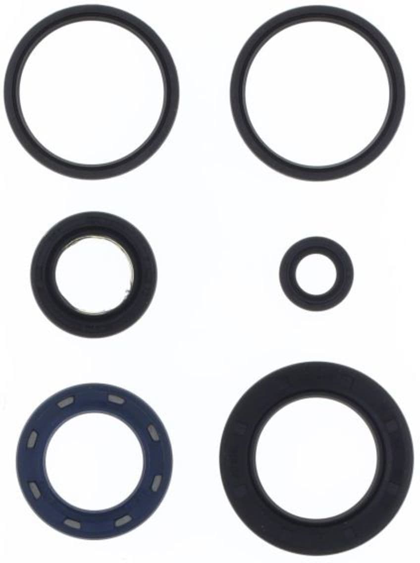 Conjunto de vedantes do óleo do motor ATHENA P400210400231