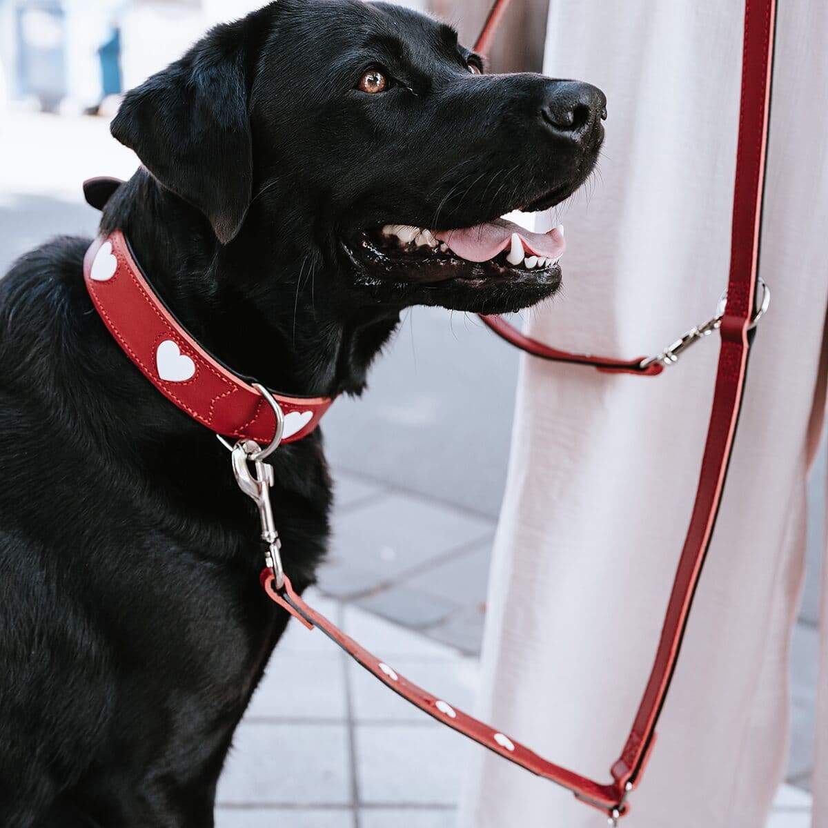 Hunter Love Hundhalsband Röd 50cm