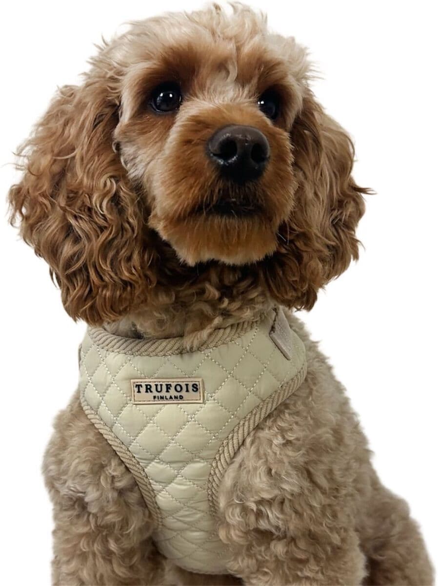 Trufois Lite Hundesele Beige