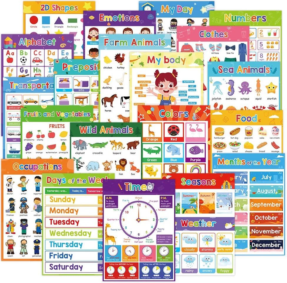 NONE 20 Themed Posters Set, A4 English Animal Fruit Emotion Preposition Number Word Cognition Poster Suitable for Children