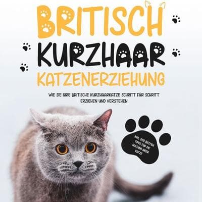 Britisch Kurzhaar Katzenerziehung: Wie Sie Ihre britische Kurzhaarkatze Schritt für Schritt erziehen und verstehen – inkl. der besten Tipps für die