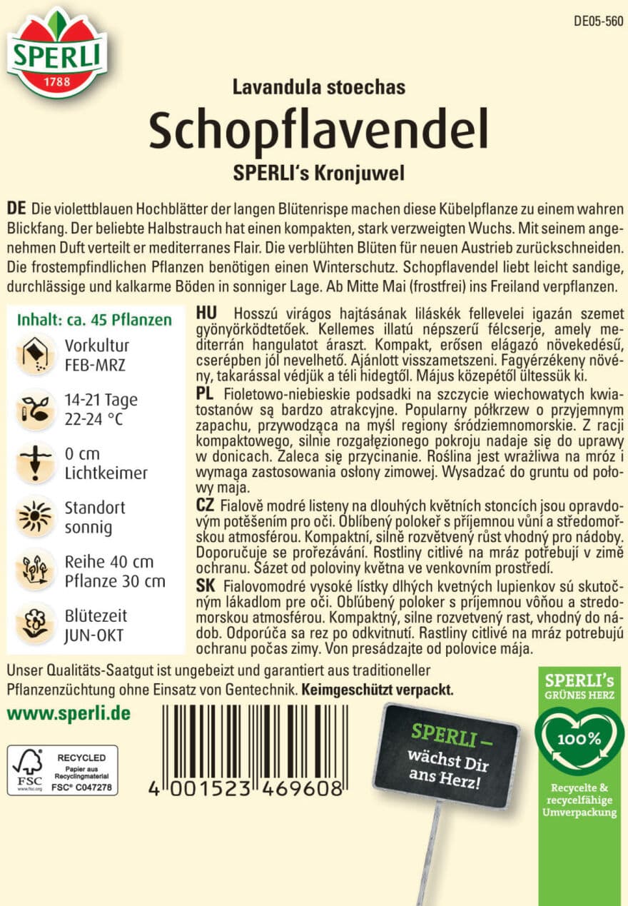 Sperli Schopflavendel SPERLI's Kronjuwel